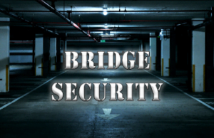 Bridge Security Ltd