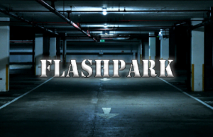 Vehicle Control Solutions Ltd T/As Flashpark