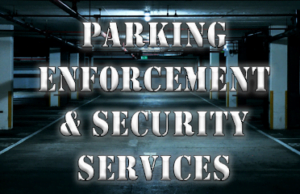 Parking Enforcement & Security Services Ltd