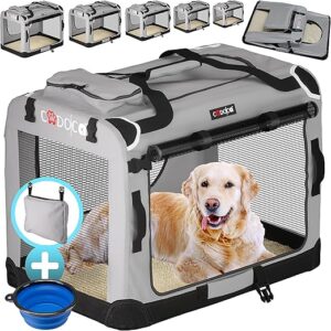 Why Do You Need Pet Carriers and Seat Covers?