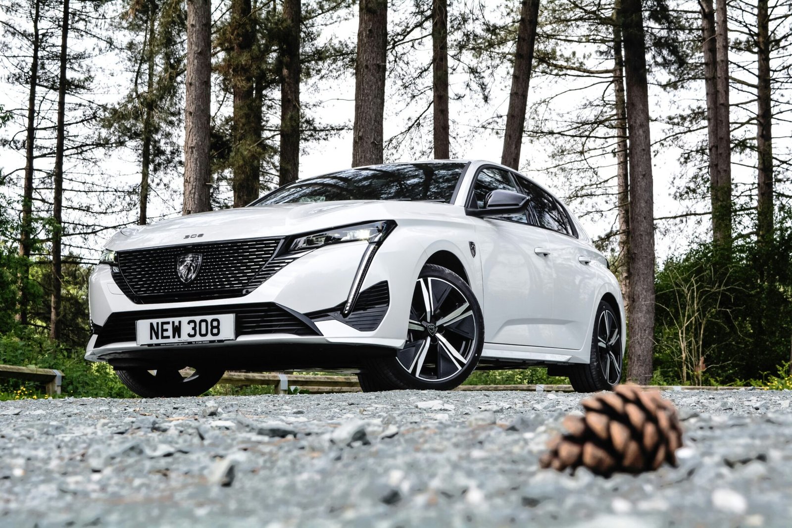 a white car parked in a wooded area